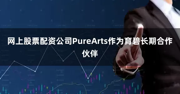 网上股票配资公司PureArts作为育碧长期合作伙伴