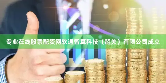 专业在线股票配资网软通智算科技（韶关）有限公司成立